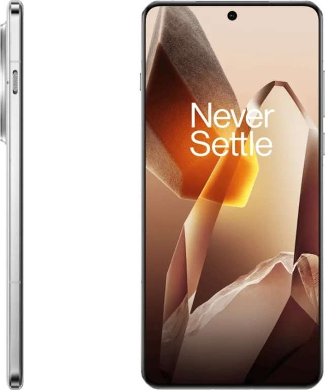 Смартфон OnePlus 13 5G 12/256Gb Arctic Dawn