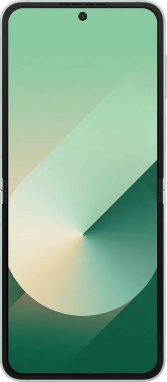 Смартфон Samsung Galaxy Z Flip6 12/256 ГБ Dual nano SIM + eSIM, Мятный
