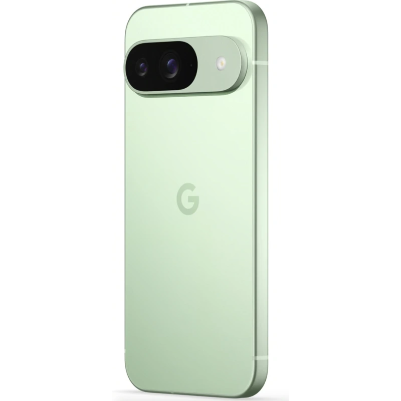 Смартфон Google Pixel 9 12/256Gb Wintergreen
