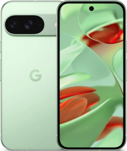 Смартфон Pixel 9 5G 12/256GB Wintergreen