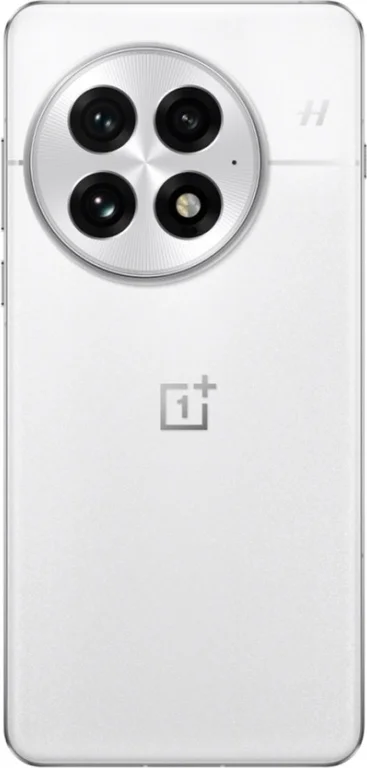 Смартфон OnePlus 13 5G 12/256Gb Arctic Dawn