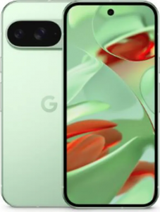 Смартфон Google Pixel 9 5G 12/128Gb (Wintergreen)