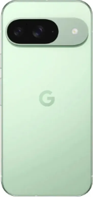 Смартфон Google Pixel 9 5G 12/128Gb (Wintergreen)